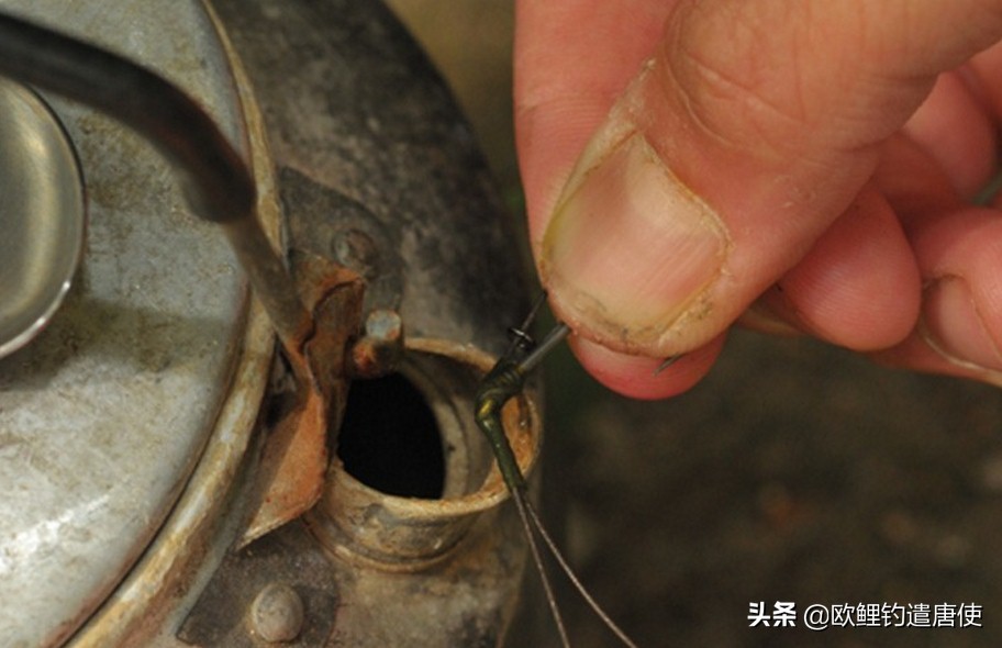 话说欧鲤钓最新消息,话说欧鲤钓鱼完整版