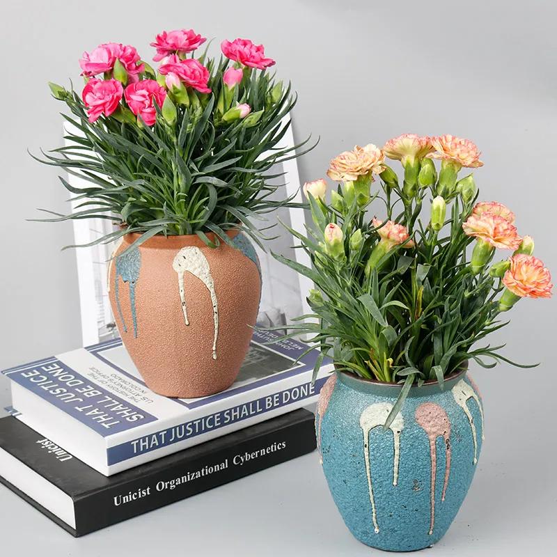 母亲节礼物除了康乃馨还能送啥,母亲节到了给妈妈送一个康乃馨