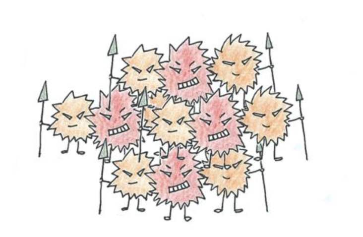 尖锐湿疣到底是啥,尖锐性湿疣早期辨识