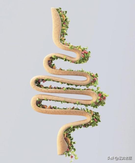 便血的通俗说法,便血的原因分析