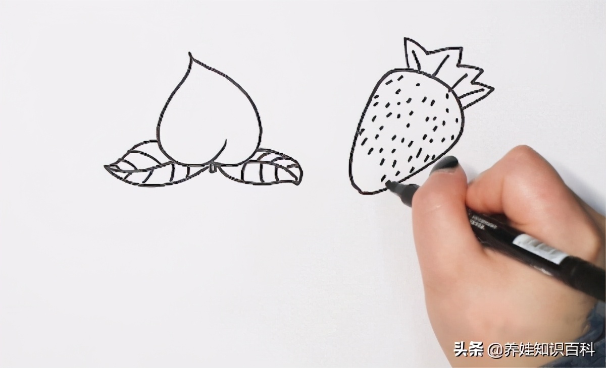 秋天成熟的水果有哪些简笔画,水果简笔画图片萌图100张