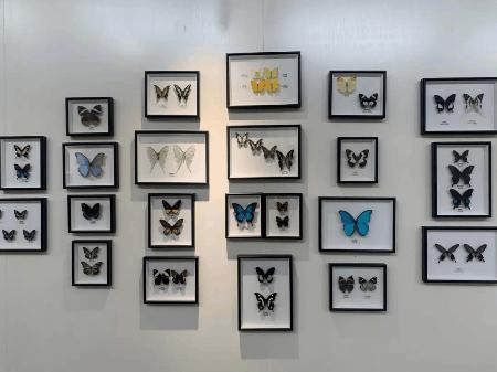 爆火广州溜娃圈的网红双展，宠粉价¥39.9买一送一！劲省二百多元