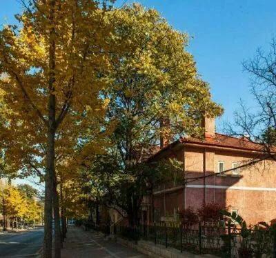 大连哪里的秋色最美呢,大连赏秋景的地方