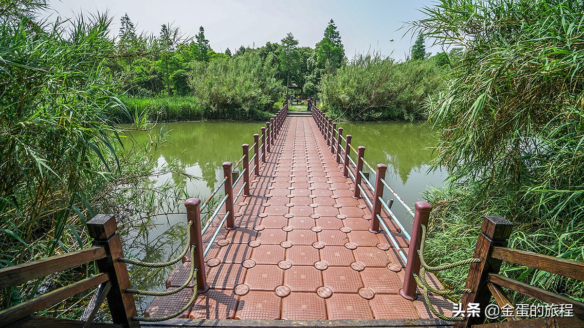 苏州旅游沙家浜,人人都知江南好下一句