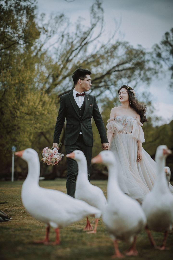 北欧婚礼旅拍流程,国外婚礼旅行策划方案