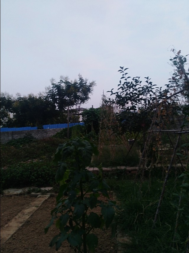 王玉：南阳益博社工的初秋一日行纪