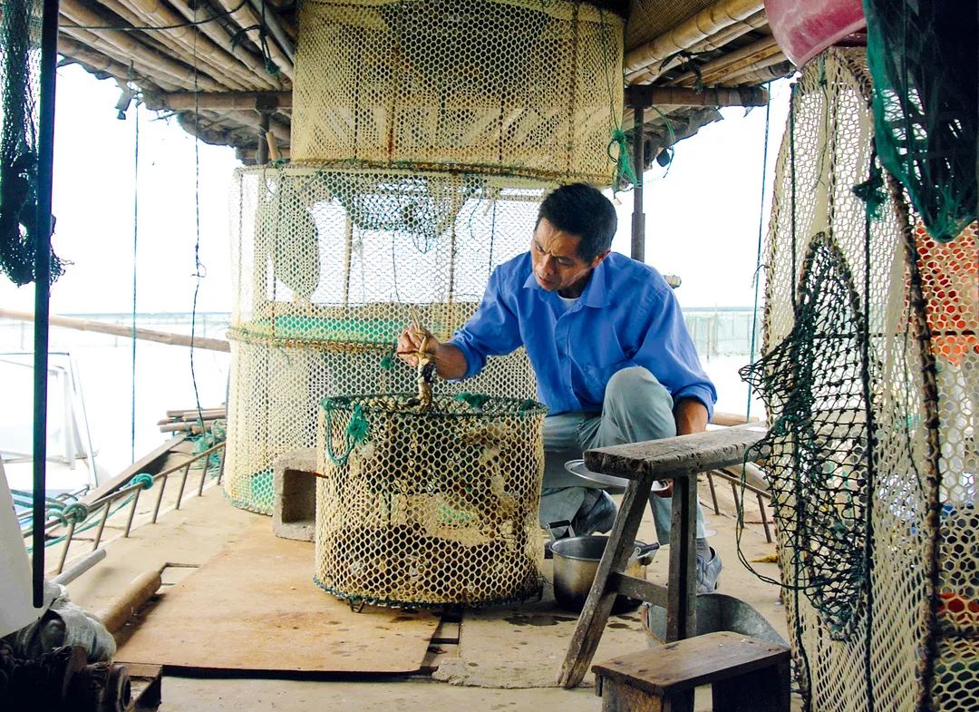 中国人过年太有意思,中国人过年有什么活动