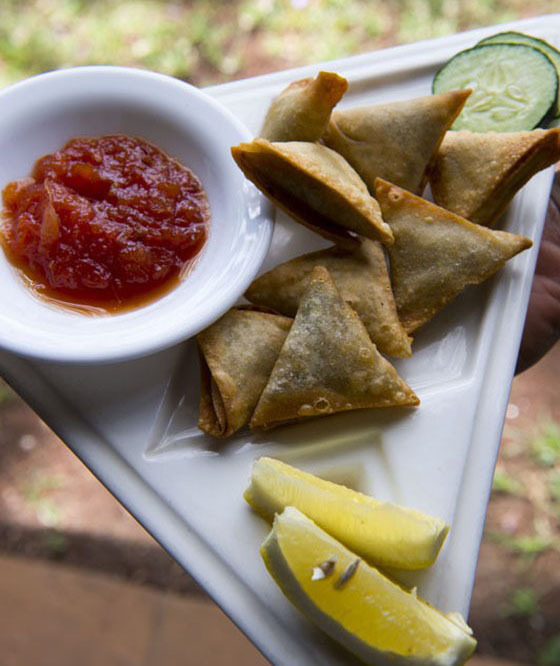 全球各国饺子视频,全球饺子大联欢