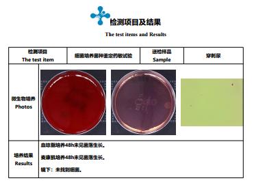 ​猫咪“甜蜜的负担”，当患有糖尿病时，应如何治疗？