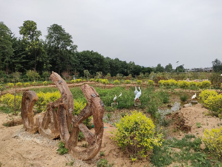 因过竹院逢僧话偷得浮生半日闲,偷得浮生半日闲下一句什么意思