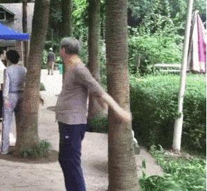 盘点熊的迷惑行为,熊奇怪行为