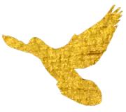 爱贝英语开课,爱贝开学季