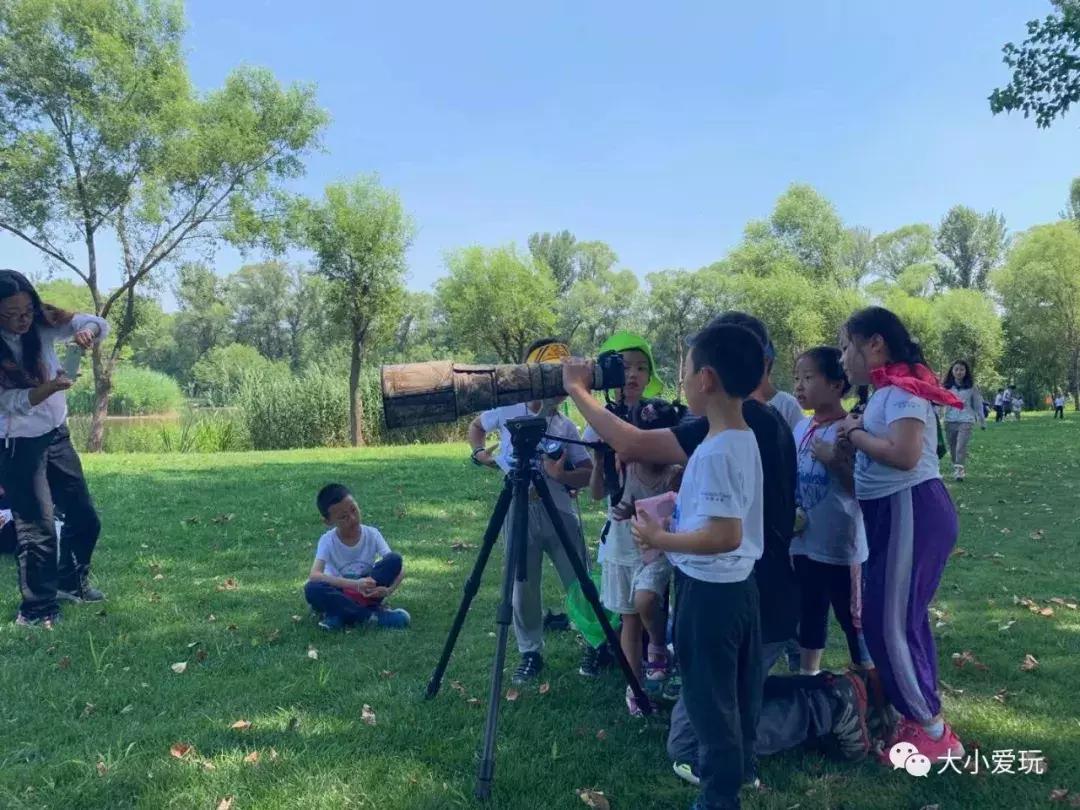 想了解孩子夏令营的营地生活,全国夏令营十大排名户外体验