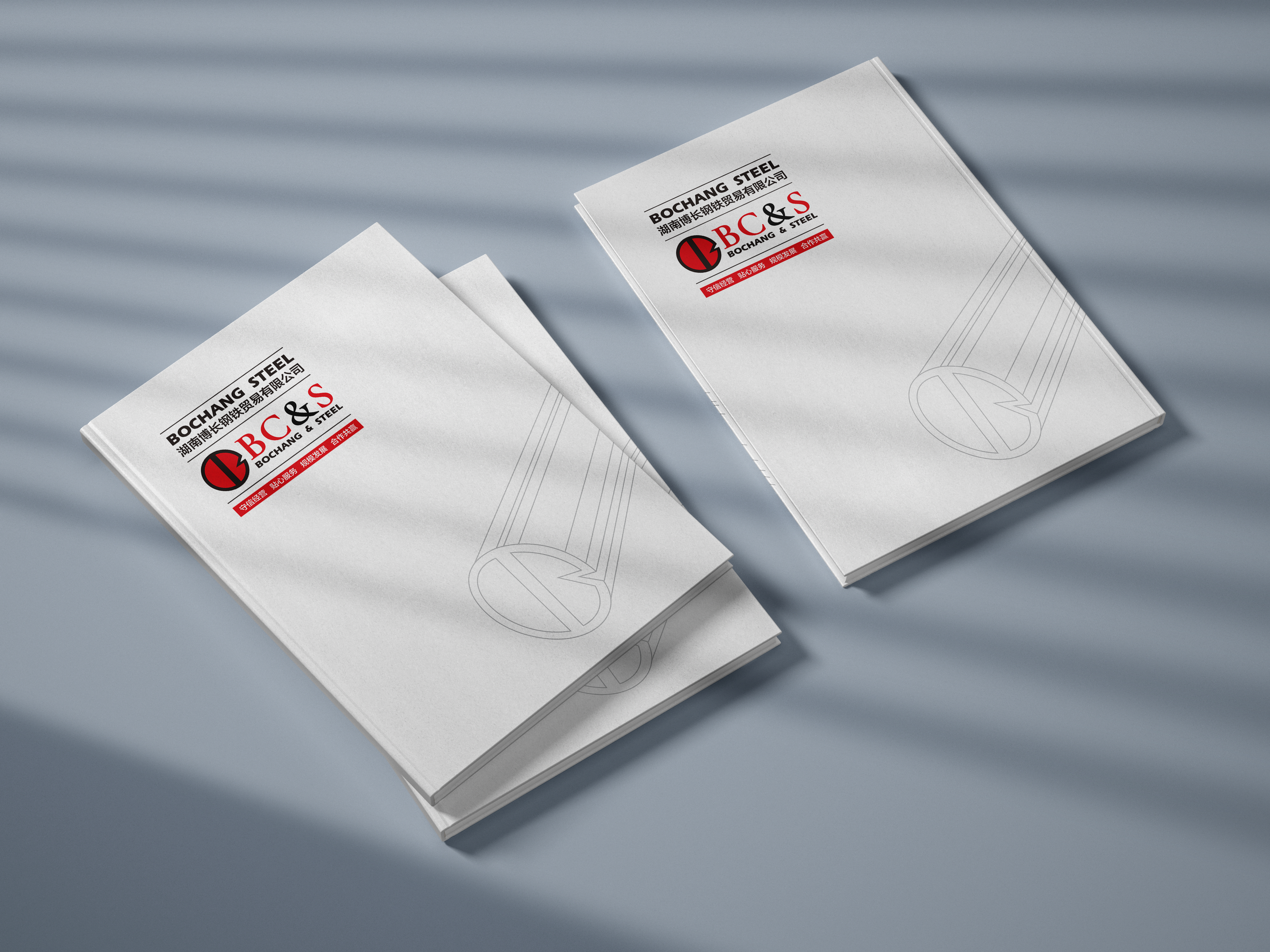 常德博长钢铁贸易有限公司,衡阳博长钢铁贸易有限公司技改