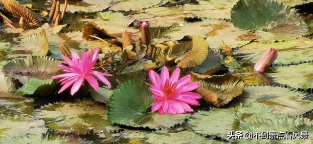 海口海甸岛白沙门公园夜景,海口旅游景点白沙门