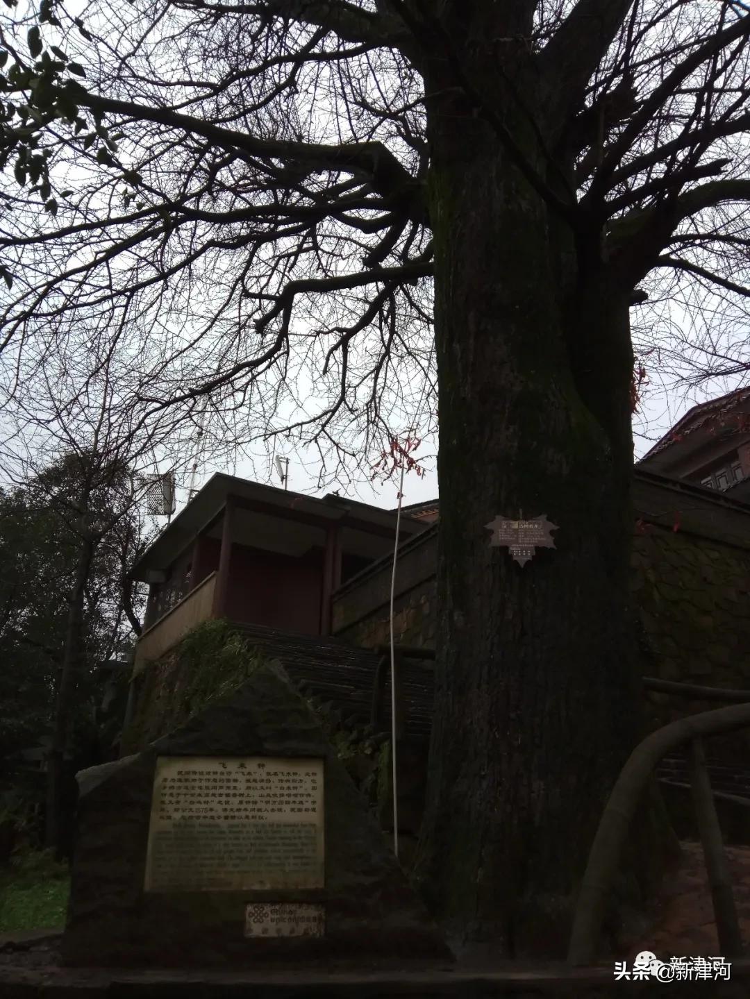 一个人的远方,一个人的远方太原站