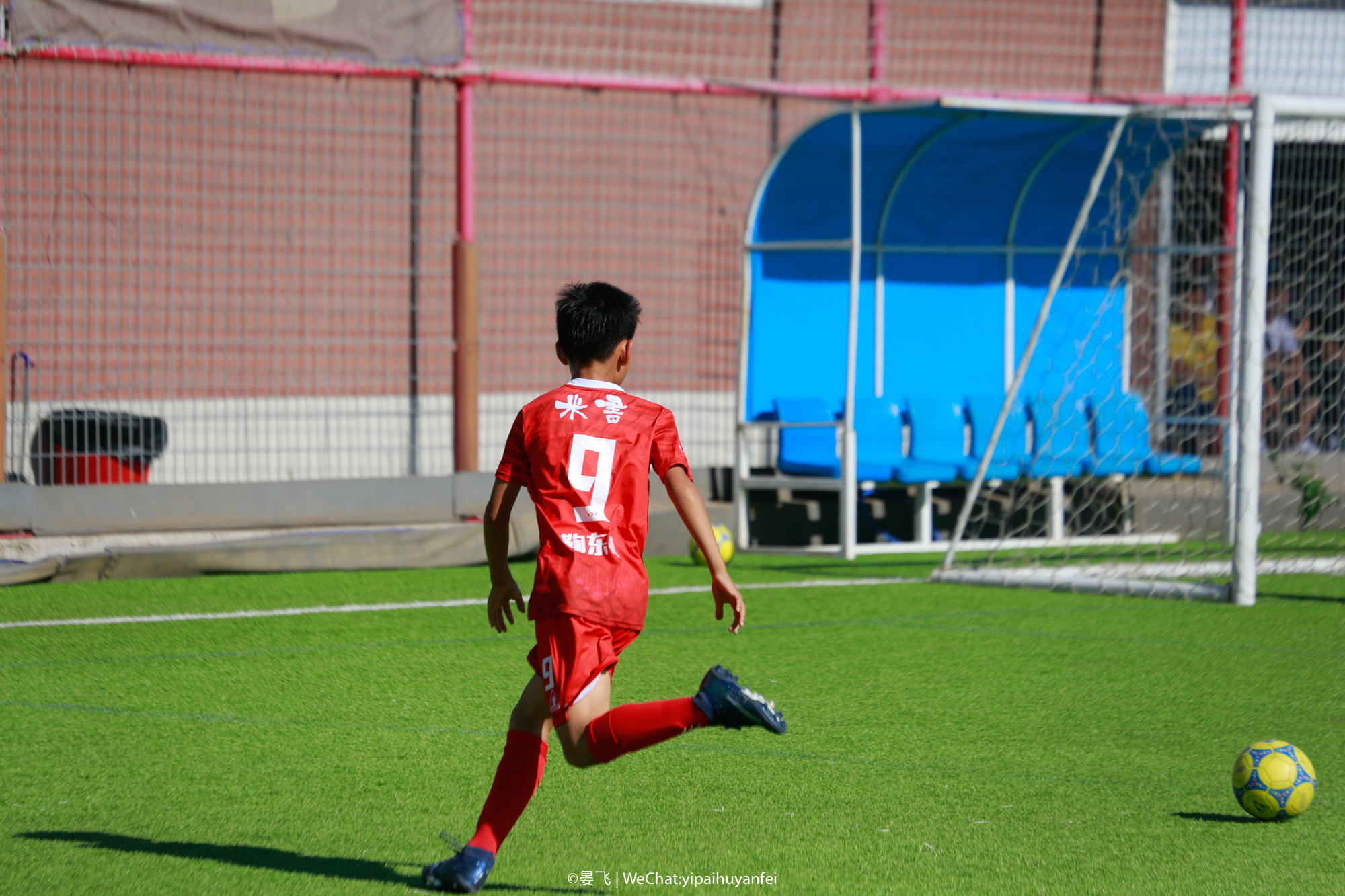 相机原片直出,这颜色真香!-摄影早自习第1675天