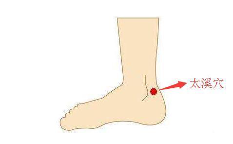 经络腧穴学的穴位主治记忆技巧,经络穴位在治疗过程的记忆和运用