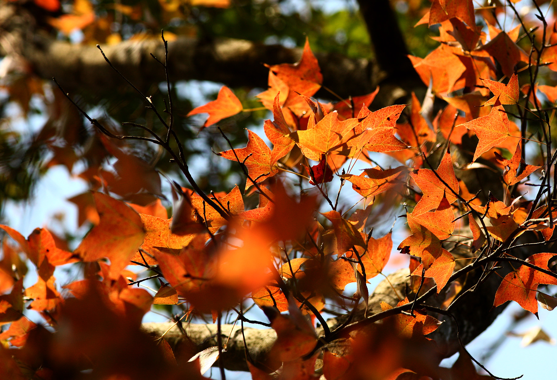 佳能1dsmark3还值得买吗,ds时代