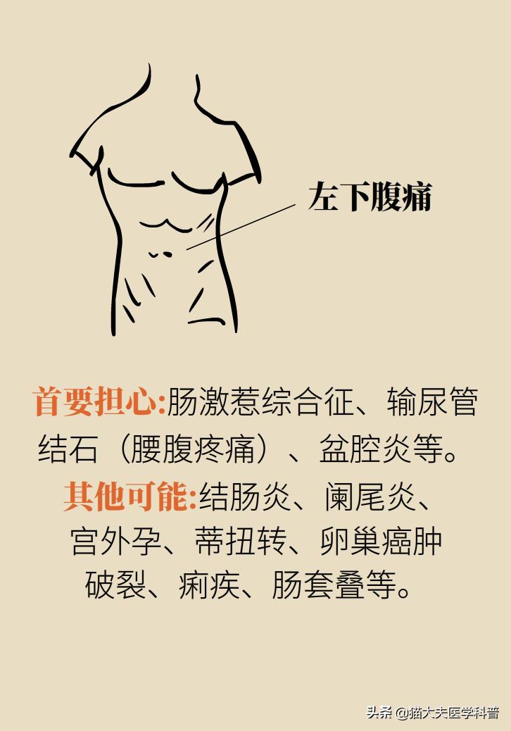 突然毫无征兆的肚子疼怎么办,肚子疼不是胃的问题还可能是什么