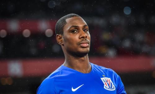 鐢宠姳閲嶅洖姝ｈ建浜嗗悧,鐢宠姳涓嬩竴杞柊娑堟伅