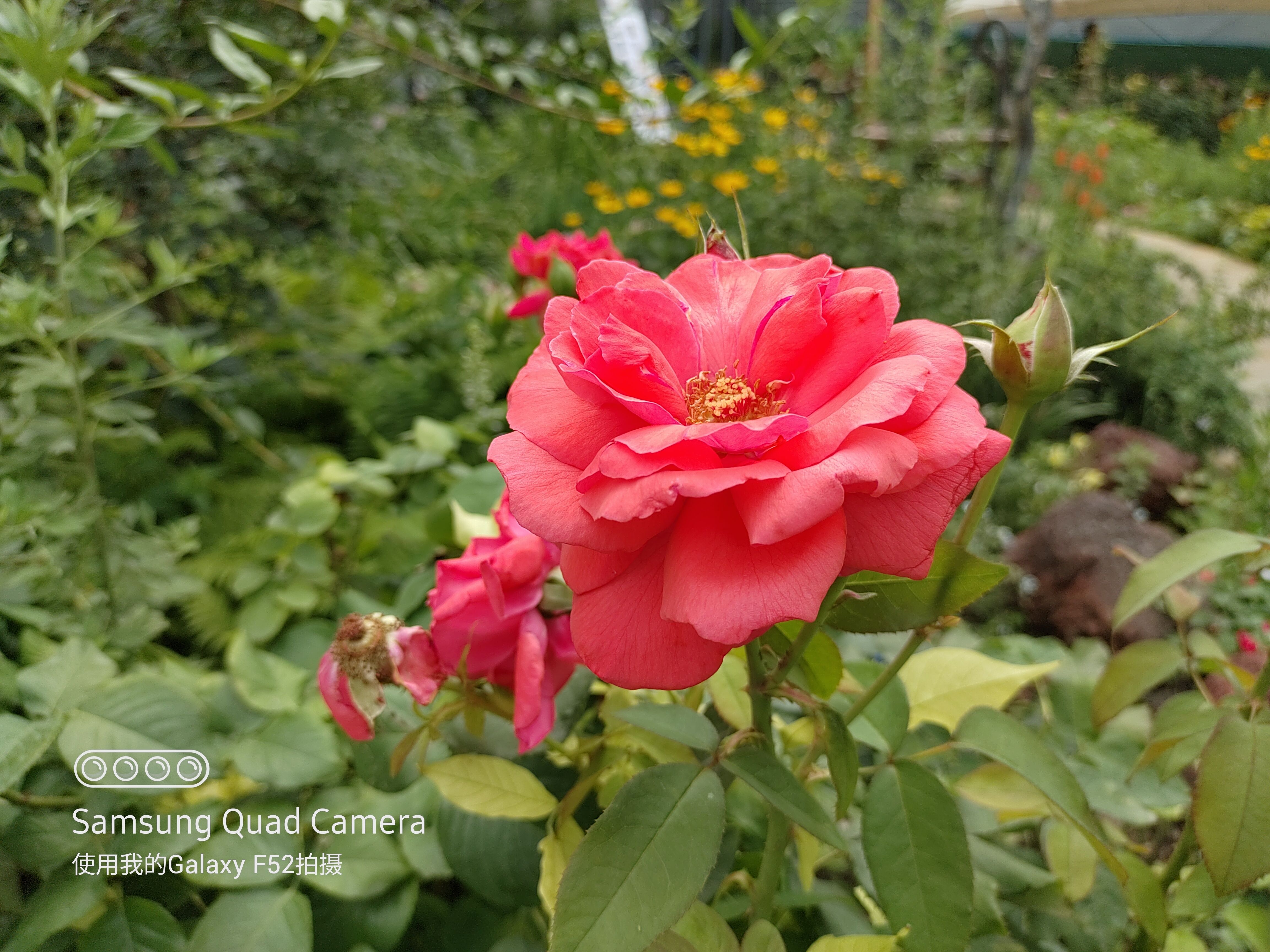 三星galaxyf525g开售,三星galaxyf52官方标配包含哪些