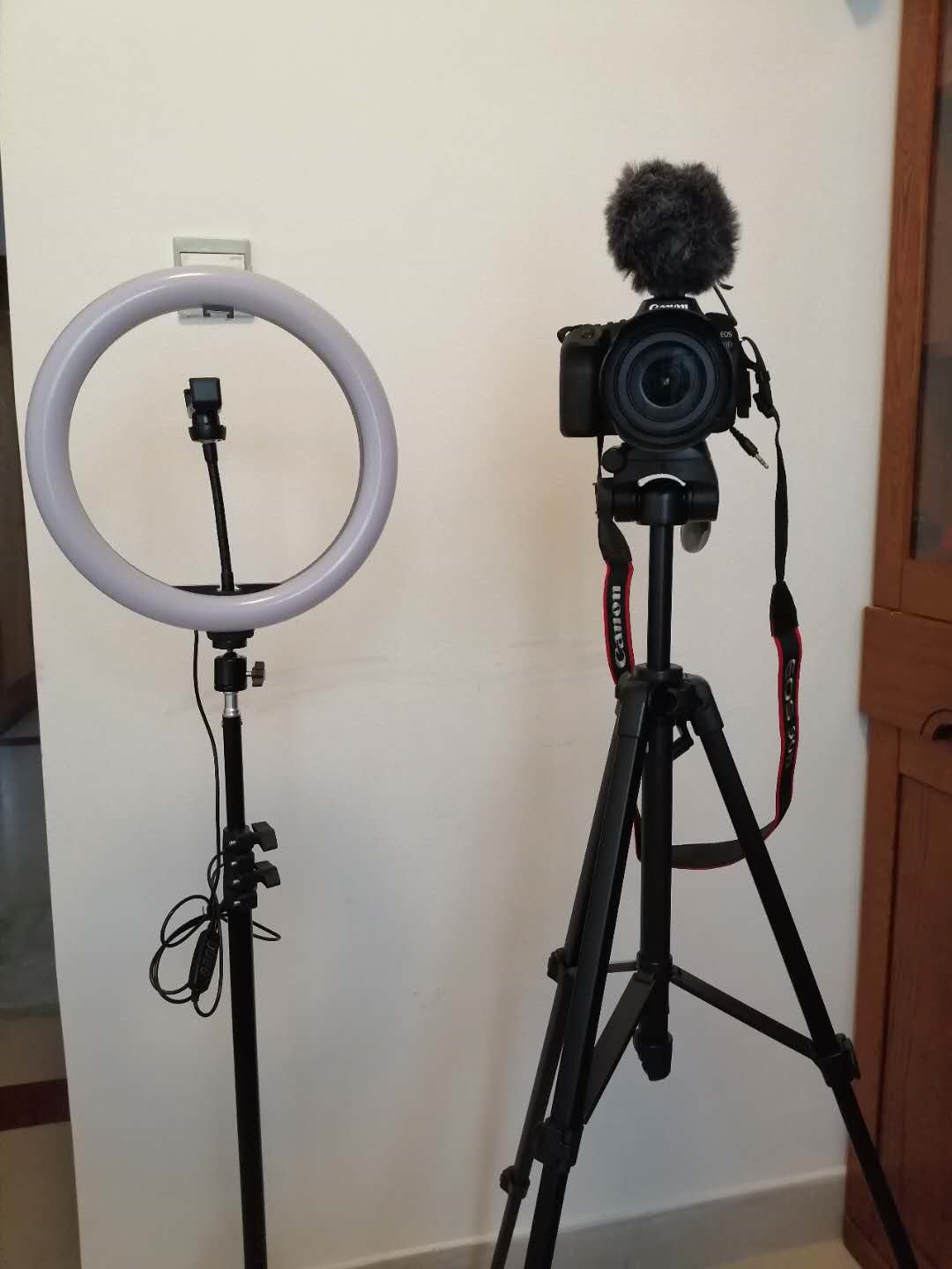 b站逆袭,b站不容小觑