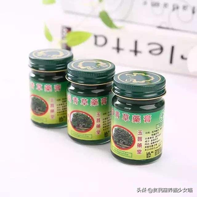 猫咪可以用什么驱蚊产品,夏天猫咪蚊香