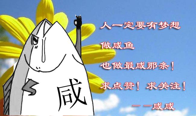 海贼王官方t恤,海贼王t恤简单