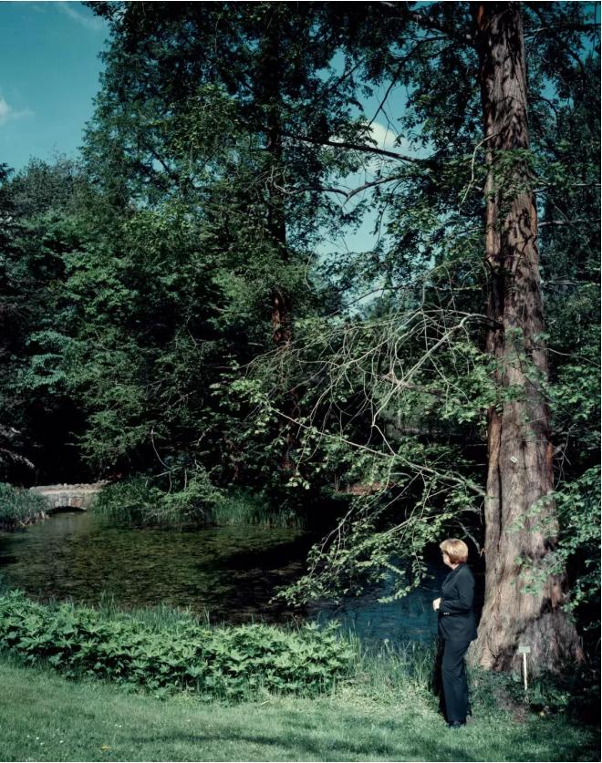 帝国的转身：默克尔的“肖像”