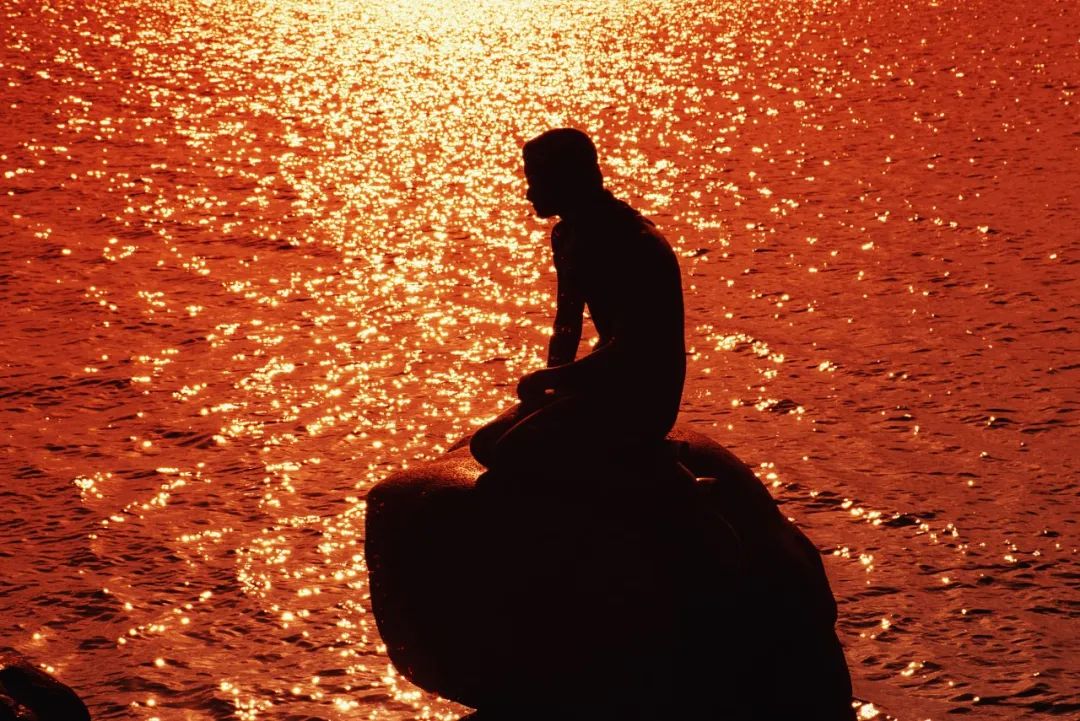 奇丑的人鱼图片,人鱼到底长什么样子