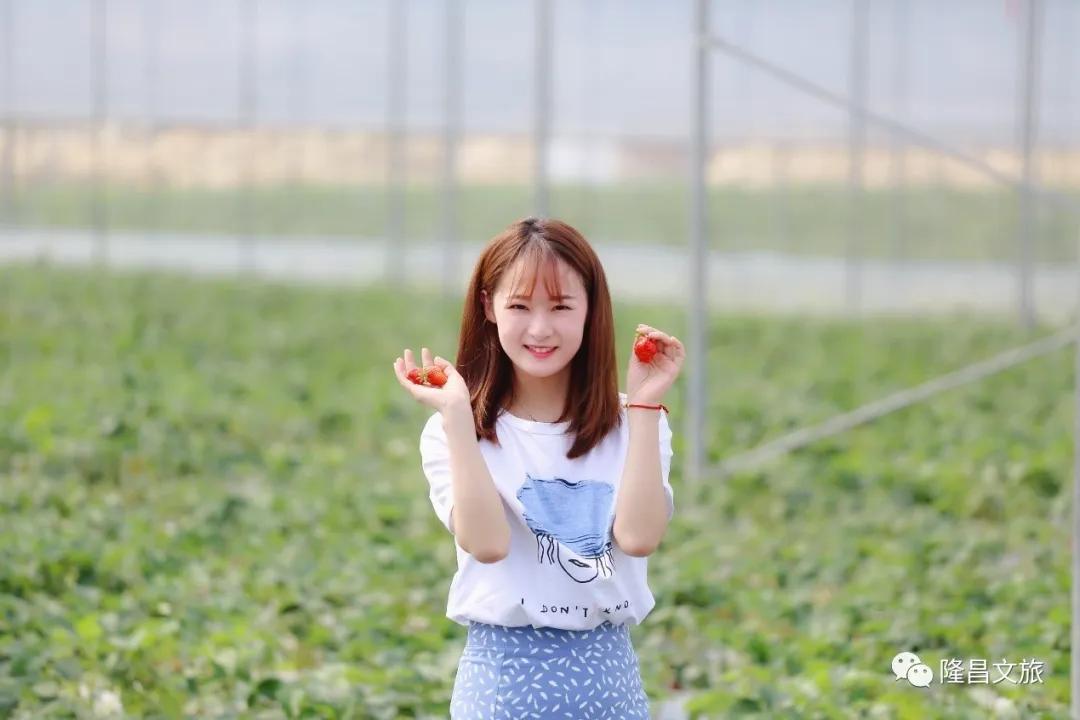 隆昌春光旅游攻略,春光正好多去户外活动
