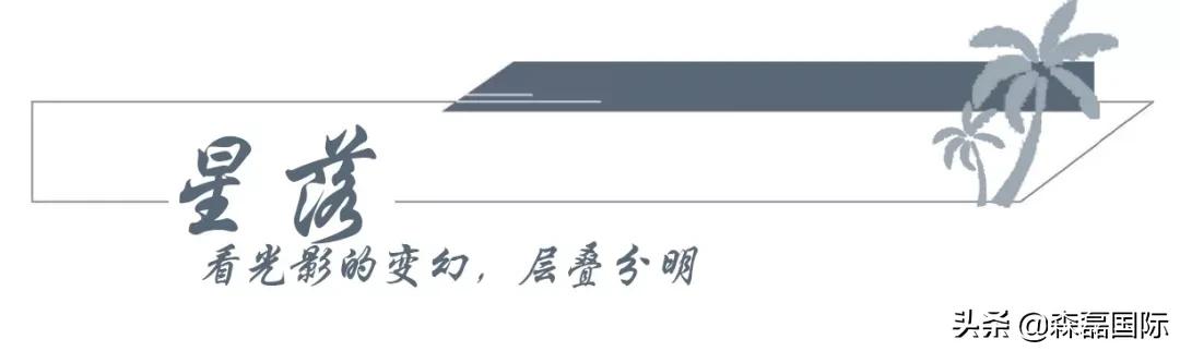 森磊国际,森磊国际旅游度假