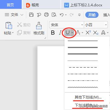 如何在已有文字的下边标注下划线,文字的加粗和下划线能否同时显示