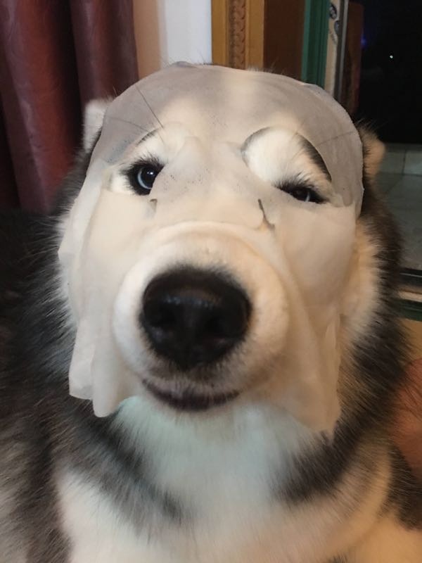 面膜敷在脸上不用清水洗好不好,韩国sos面膜敷完要不要洗脸