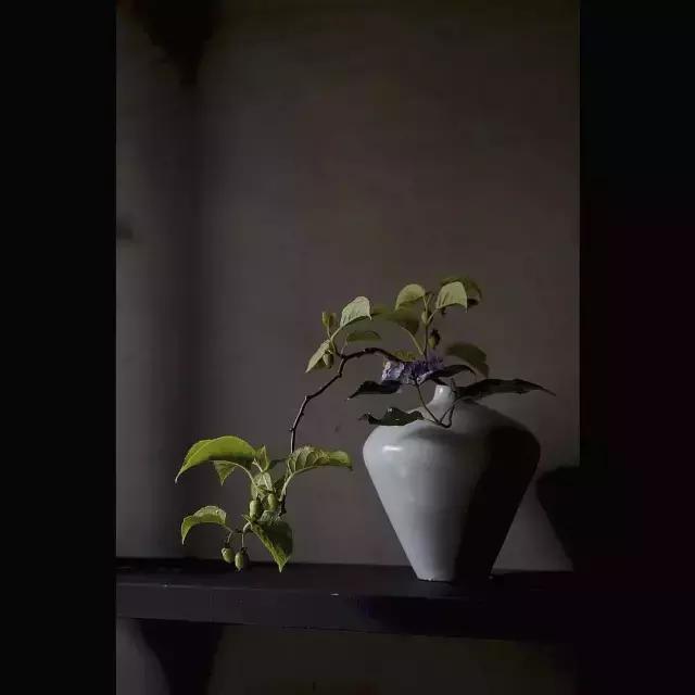 创意禅意插花月季盘花,禅意插花100例兰花