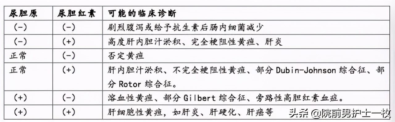如何读懂尿常规报告单图片,教你如何看懂尿常规报告