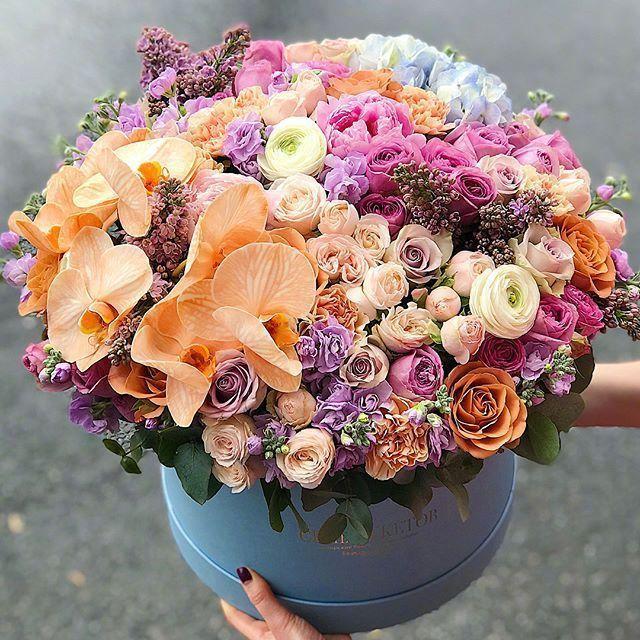 情人节情话最暖心撩人,情人节贺卡情话短句干净撩人