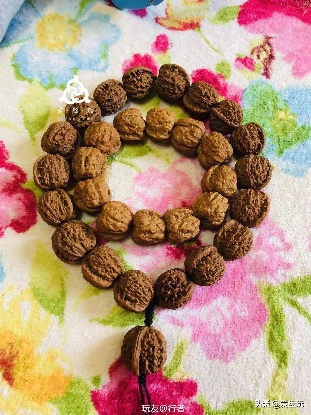 手串里有小白虫是什么虫子,手串上的虫子是哪来的