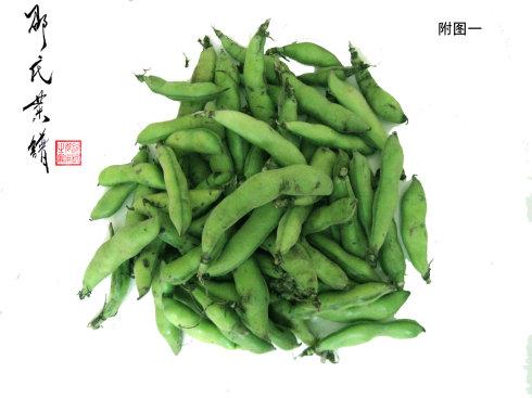 舌尖上的中国百年相传美食,舌尖上的中国美食教材书