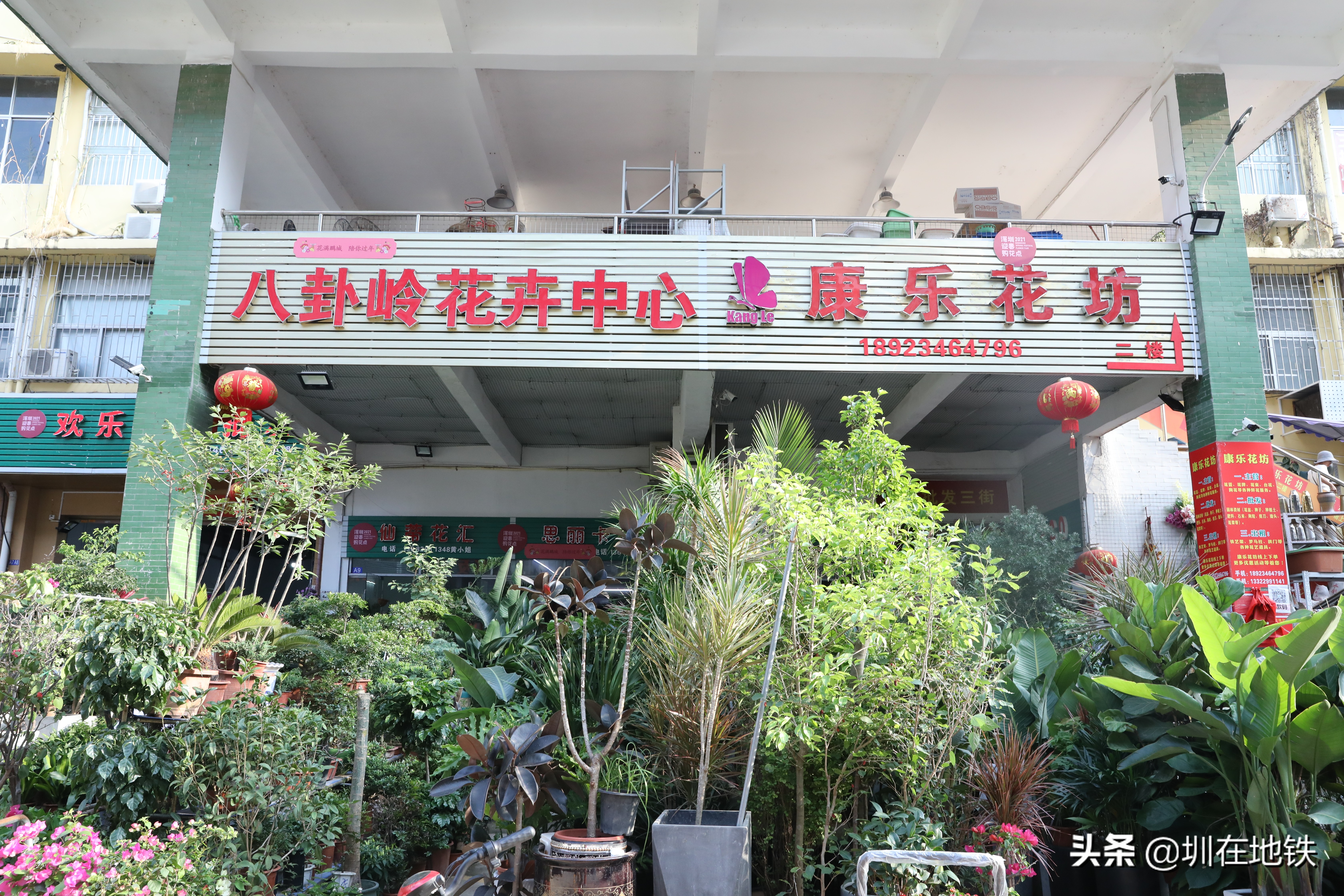 乘坐地铁到滘口花卉市场,从地铁到花卉市场