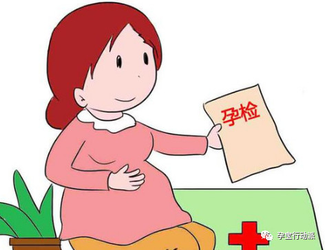 孕期周刊,孕期周刊25周