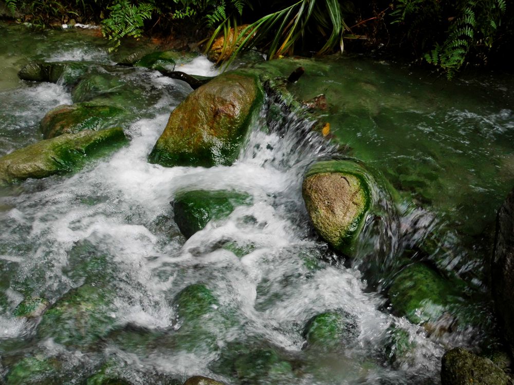 菲律宾游散记（46）-杜马盖地（4）：火山口真正的温泉