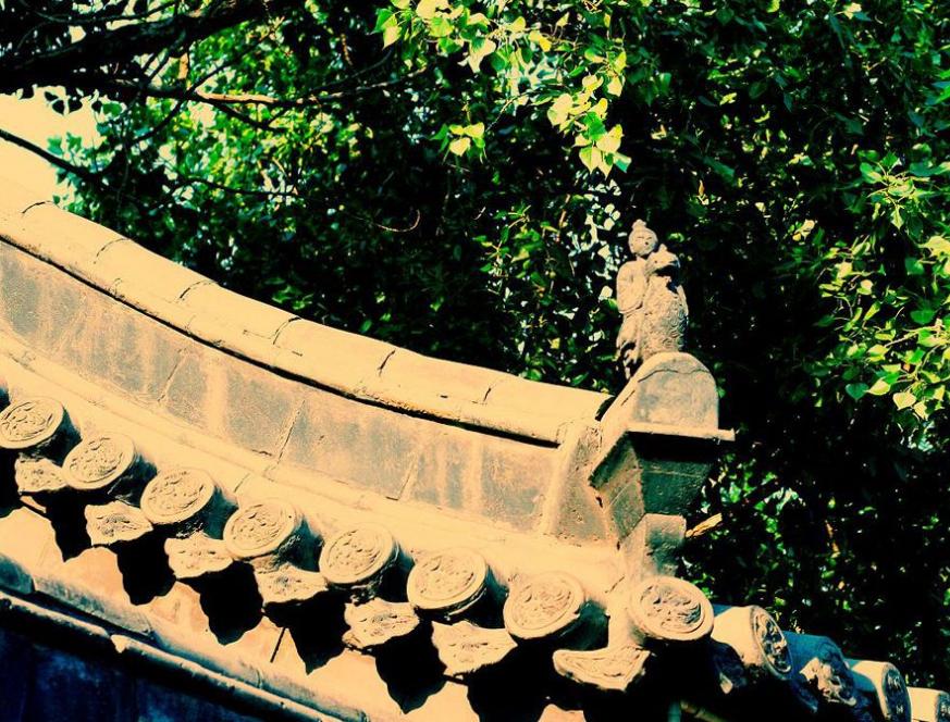 广西长寿村天然氧吧,长寿村氧吧