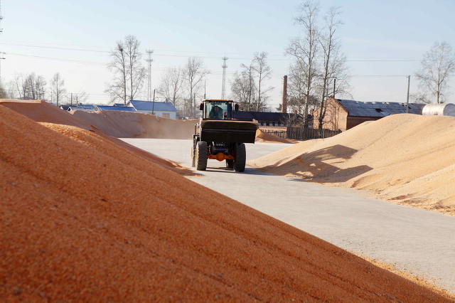 农民承包土地有自主经营权,农民承包地有经营自主权