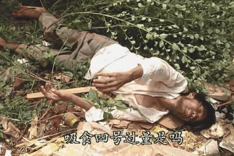 *洛因海**有多可怕?这部尘封28年的央视禁毒大片,告诉你答案