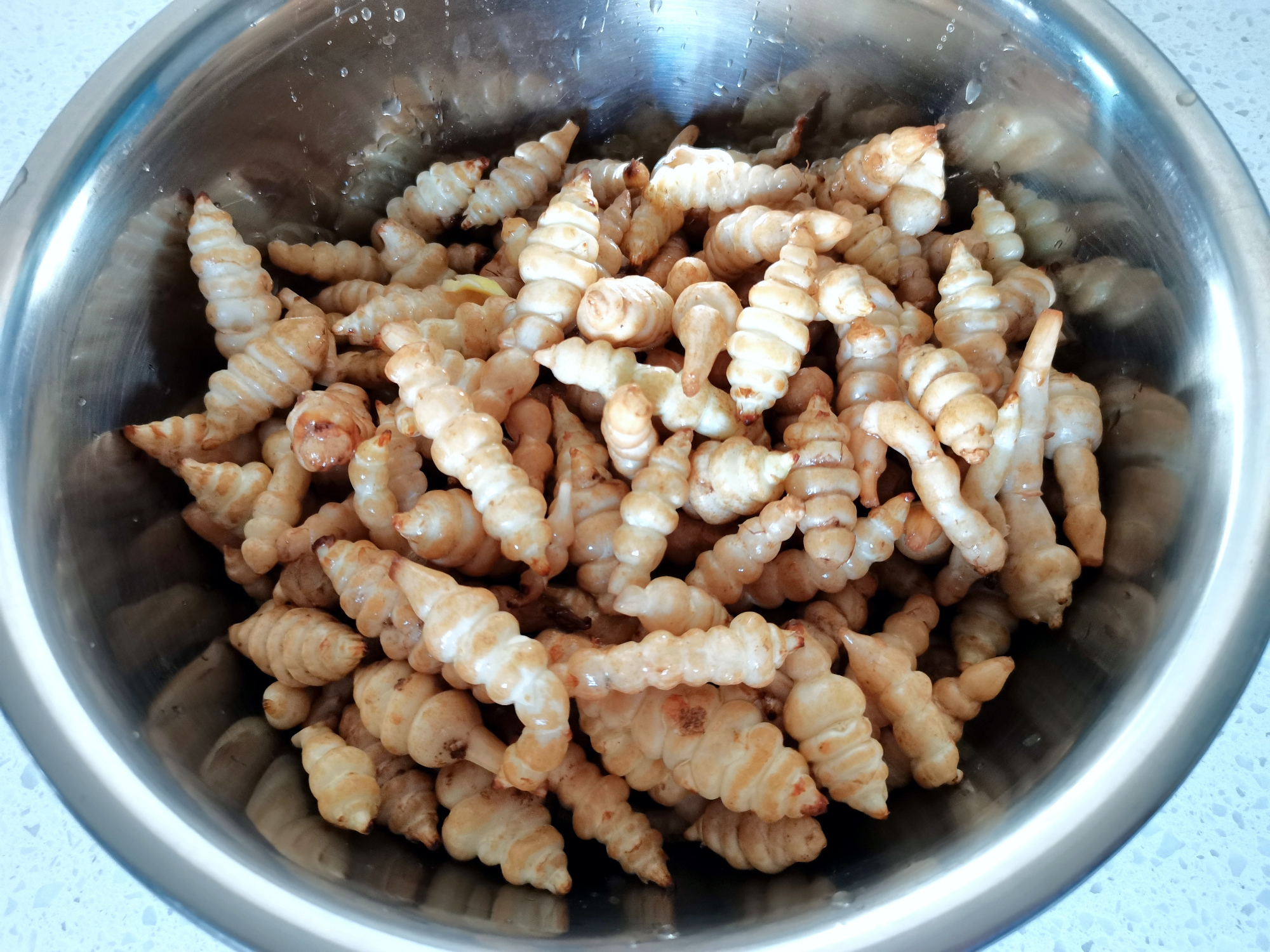 第二天就能吃的螺丝菜做法,螺丝菜的做法和功效