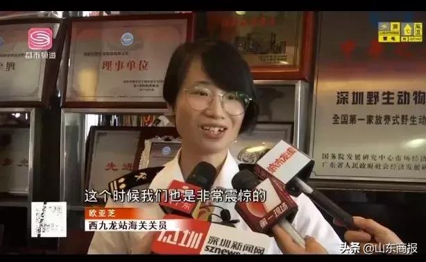 女子腰缠624条金项链入关被查，总价89万！网友：现实版腰缠万贯