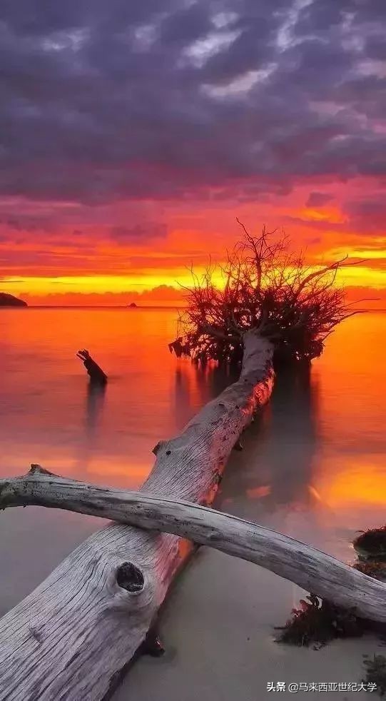 风下之乡海鲜,风下之乡