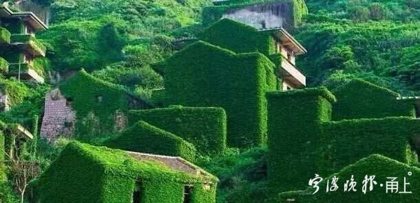 宁波卖海产10年致富经验介绍,宁波卖海产10年致富经验总结